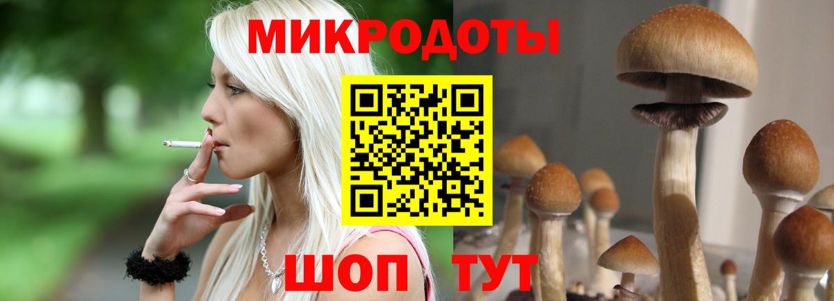Новокубанск  Псилоцибиновые грибы Magic Shrooms  Вход с VPN 